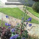 ���� ���������, ����, 65 ��� - ��������� 28 ���� 2012 � ������ �����