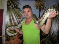 ���������, ��������, 44 ����