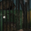 ���� �������, �������, 38 ��� - ��������� 28 ������ 2010 � ������ ������� �����!!!�