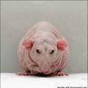 ���� ����������, �����������, 50 ��� - ��������� 23 ������ 2012