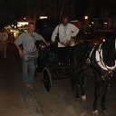 Aleksandrija,Egipet �� ������� ���� ����������