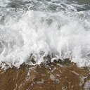 ���� ������, ����, 78 ��� - ��������� 24 ������� 2012 � ������ �������-�.����� 2012�