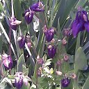 ���� N, ���������, 68 ��� - ��������� 14 ���� 2012 � ������ ���� ����������