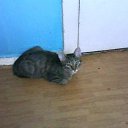 ���� ���������, ������, 26 ��� - ��������� 14 ������ 2011 � ������ �RoadKing�