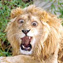 ���� �������, ���������, 48 ��� - ��������� 26 ������ 2011