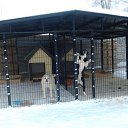 ��� ������ �� ������� ���� ����������