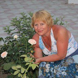 �����, �������������, 67 ���