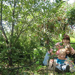 �������, ������, 47 ���