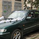 ���� ������, �������, 51 ��� - ��������� 6 ������� 2011 � ������ ���� ����������