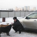 ���� �������, �����-���������, 72 ���� - ��������� 17 ������� 2012 � ������ ���� ����������