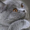 ���� ������ �����, ������, 24 ���� - ��������� 9 ���� 2011 � ������ ������