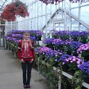  , , 28  -  16  2010   botani4eskij sad