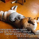 ���� ��������, ������������, 23 ���� - ��������� 20 ������� 2011 � ������ �������������