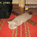 ���� Vladimir, ������, 40 ��� - ��������� 7 ������ 2012