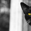 ���� �������, �����, 52 ���� - ��������� 29 ����� 2013 � ������ ������ ��������