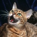 ���� ������, ���������, 48 ��� - ��������� 5 ����� 2012 � ������ ���� ����������