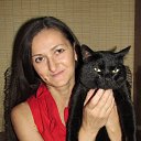 ���� �����, ����� - ��������� 3 ���� 2011 � ������ ���� ����������