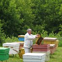 ���� �������, ������, 85 ��� - ��������� 11 ������� 2009 � ������ ���� ����������