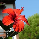 �������... �� ������� ���� ����������