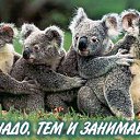 ���� Alex Andr, ���������, 42 ���� - ��������� 24 ������ 2009 � ������ ����������� ��������