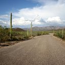 ���� ������� Cat's., �����, 43 ���� - ��������� 22 ������� 2010 � ������ ����� �������� ������