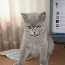 ���� �����, ������, 52 ���� - ��������� 20 ������� 2012 � ������ ���� ����!!�