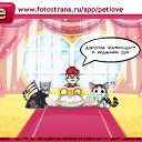 ���� ���, ������, 33 ���� - ��������� 8 ��� 2011 � ������ �PetLove�