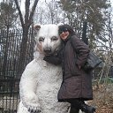 ���� �����, ��������� - ��������� 5 ������� 2012 � ������ ���� ����������