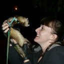 ���� ����, ������, 38 ��� - ��������� 19 ������ 2010 � ������ ���� ����������