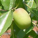  **** , , 64  -  14  2011    20011