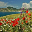 ���� �������, ���� - ��������� 12 ������ 2009 � ������ ����� "��������"�