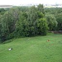 ���� �������, ���������, 51 ��� - ��������� 28 ����� 2010 � ������ �������