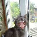 ���� ����, ������-��-����, 85 ��� - ��������� 23 ������� 2012 � ������ ���������� ������