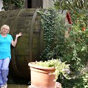 ������� - ����������� ������ ����.... �� ������� ���� ����������