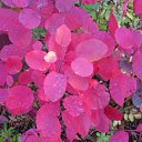 ���� ����, ������, 39 ��� - ��������� 9 ������� 2009 � ������ ����.....������...!!!!!!!!!!)))))))�