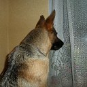 ���� �������, �����, 48 ��� - ��������� 4 ���� 2011 � ������ ���� ������ �...�