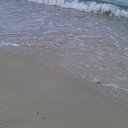 ���� �����, ����������� - ��������� 8 ������� 2012 � ������ �������