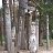 ���� ���������, ������, 46 ��� - ��������� 6 ������� 2009
