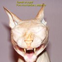 ���� �����, ������, 45 ��� - ��������� 7 ���� 2010