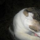 ���� ��������, �������, 60 ��� - ��������� 12 ������� 2012 � ������ ���� ����������