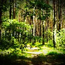 ���� �������, ���������, 52 ���� - ��������� 17 ������ 2011 � ������ ��������!�