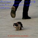 ���� �����, ����-���, 30 ��� - ��������� 15 ��� 2009 � ������ �������