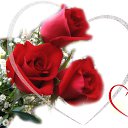 ���� Yaz Ciceyi, ���� - ��������� 26 ������ 2013 � ������ ���� ����������