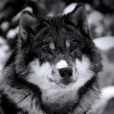 ���� ����, ����������� - ��������� 30 ���� 2012