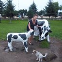 ���� �����, ��������������, 63 ���� - ��������� 30 ���� 2012 � ������ ����� 2012 - ��л