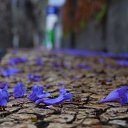 ���� �������, ������������, 64 ���� - ��������� 12 ���� 2013 � ������ ���� ����������