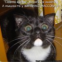 ���� ����, �����, 50 ��� - ��������� 10 ���� 2010 � ������ ������������