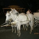 ���� ����, ����������, 42 ���� - ��������� 14 �������� 2011 � ������ ���� ����������