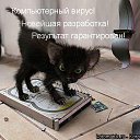 ���� ��������, �������� - ��������� 23 ����� 2012 � ������ �������� ��������