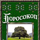 ���� ���������, ���������� - ��������� 30 ��� 2010 � ������ ��������_1�